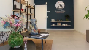 Ley de cremación de mascotas en España - FuneralVet