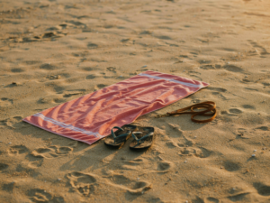 Duelo en vacaciones: cuando el verano llega sin tu mascota - Funeral Vet