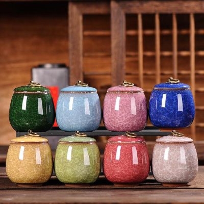 Urnas para cenizas de perros: tipos y cómo elegir - FuneralVet